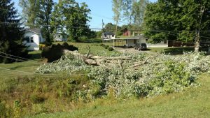 Large Tree Brings Down Steel Pole