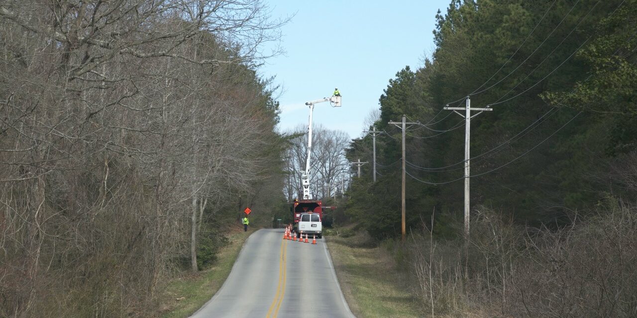 lineman trimming trees around power lines